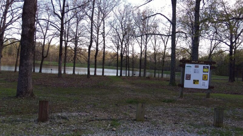 Ripley Lake Recreation Area - Poynor, MO