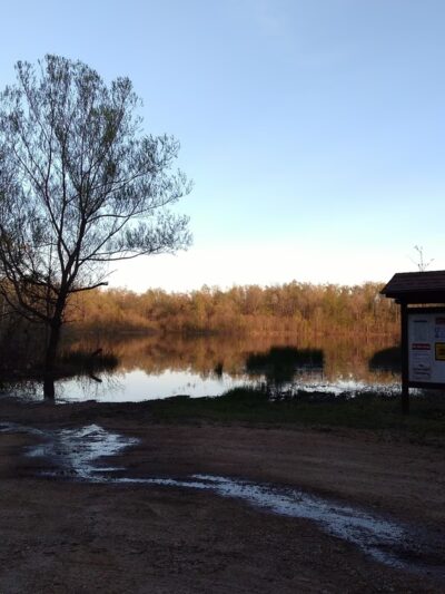 Ripley Lake Recreation Area - Poynor, MO
