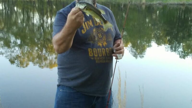 Ripley Lake Recreation Area - Poynor, MO
