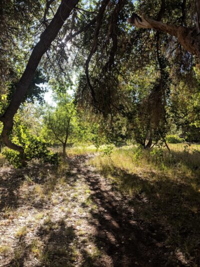 Jim McCasland Willow Creek Park - Prescott, AZ