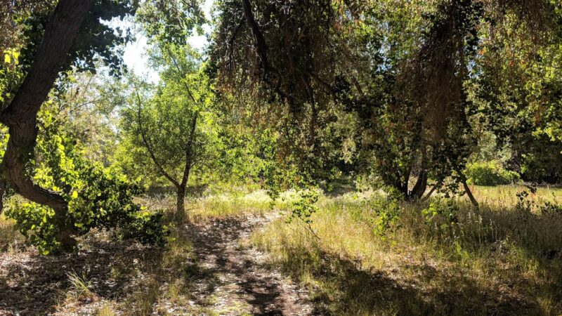 Jim McCasland Willow Creek Park - Prescott, AZ