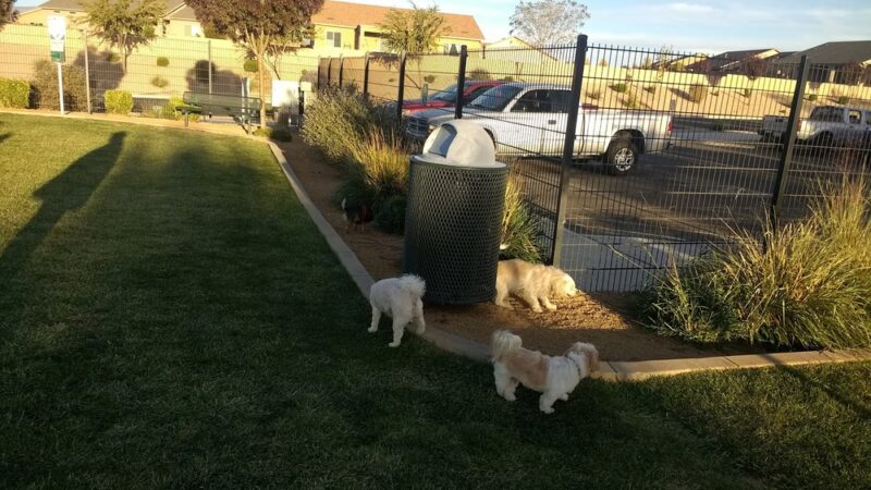 Granville Dog Park (Private Park) - Prescott Valley, AZ