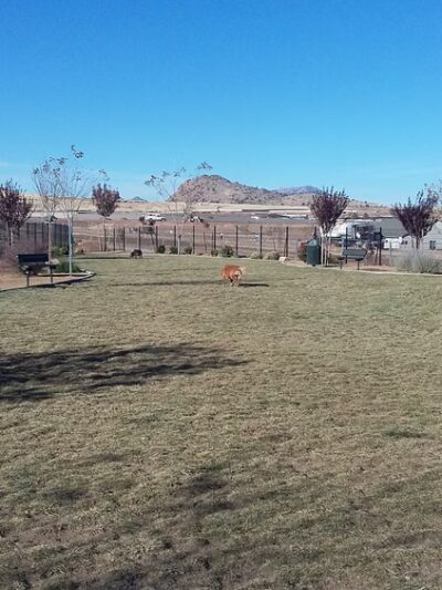 Granville Dog Park (Private Park) - Prescott Valley, AZ