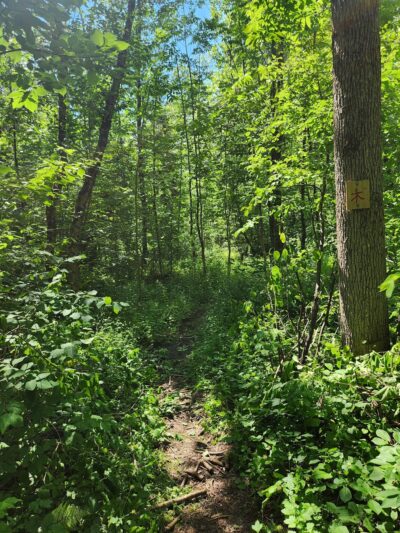 Mantle Lake Park - Presque Isle, ME