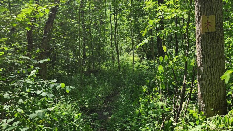 Mantle Lake Park - Presque Isle, ME