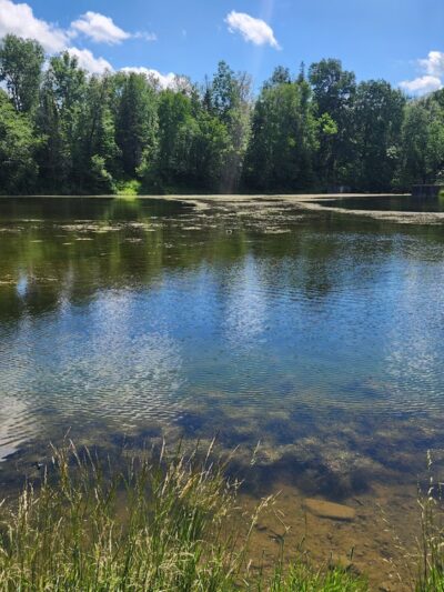 Mantle Lake Park - Presque Isle, ME