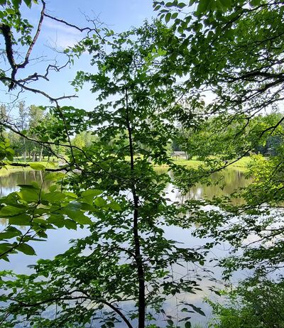 Mantle Lake Park - Presque Isle, ME