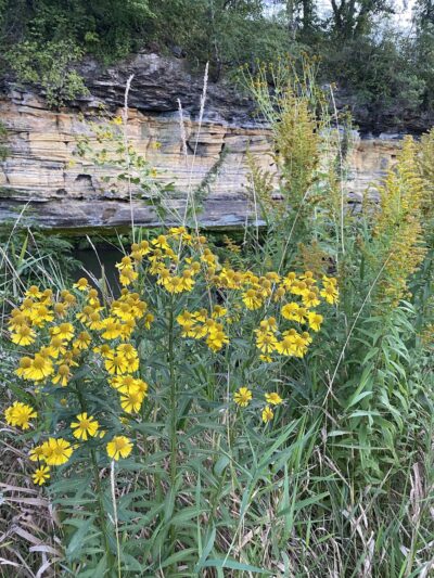 Preston City Park - Preston, MN