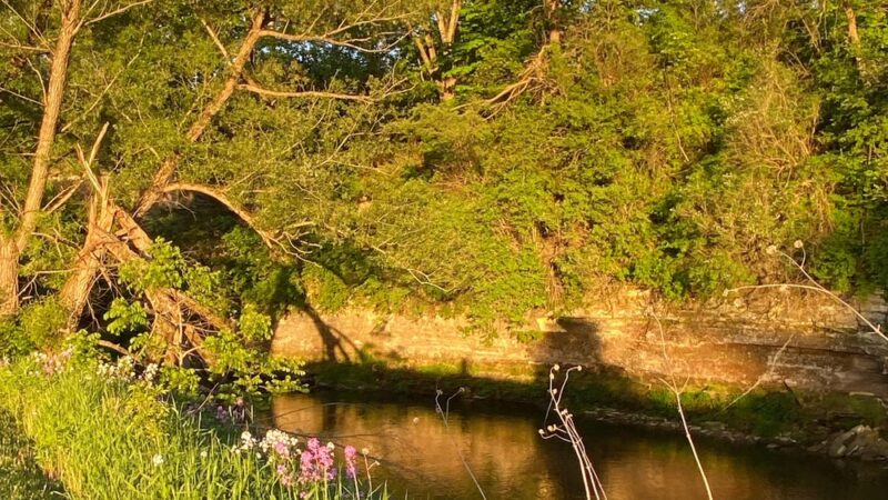 Preston City Park - Preston, MN