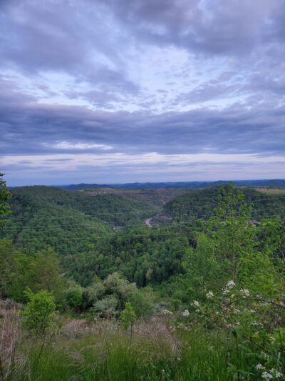Sugarcamp MTN Trailhead - Prestonsburg, KY