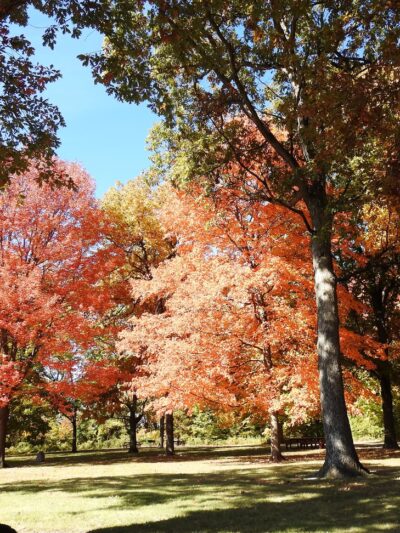City County Park - Princeton, IL