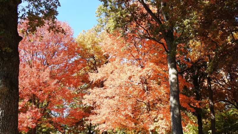City County Park - Princeton, IL