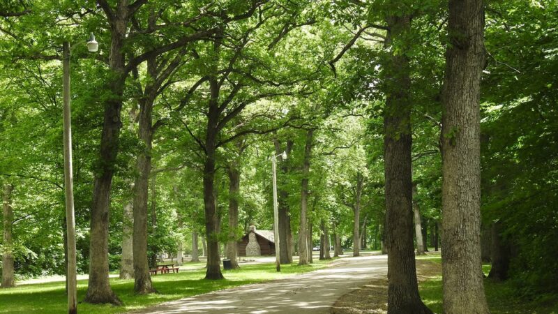 City County Park - Princeton, IL
