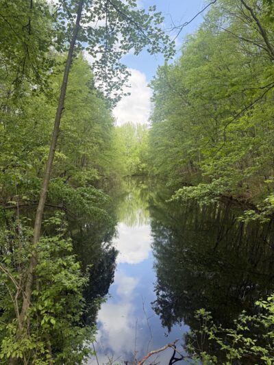 Mercer County Park East Picnic Area and Campground - Princeton Junction, NJ
