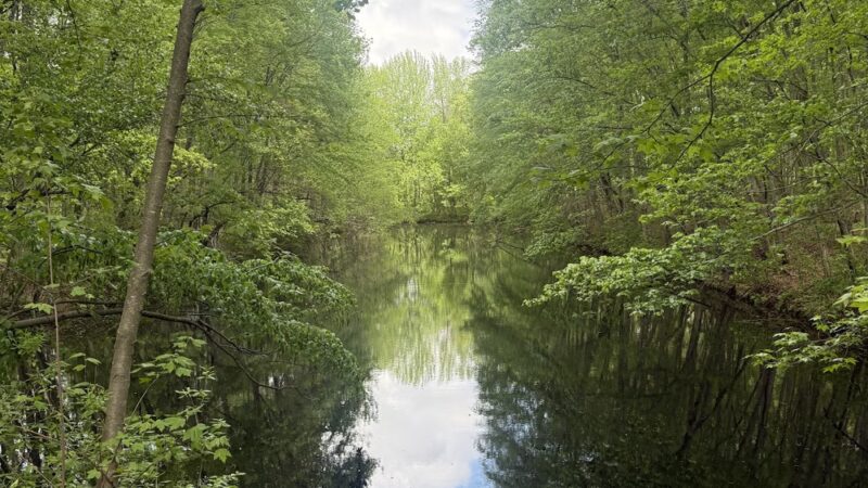Mercer County Park East Picnic Area and Campground - Princeton Junction, NJ