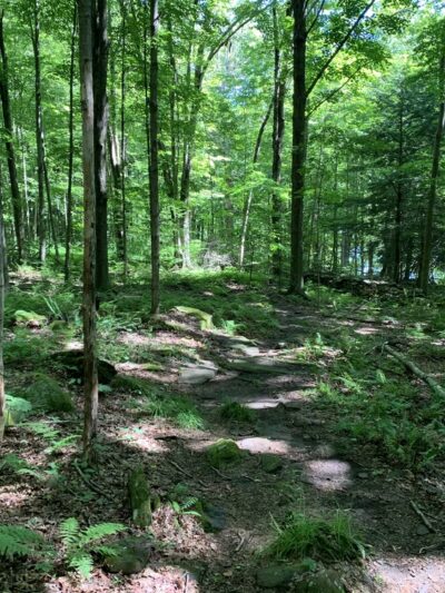 Prompton State Park - Prompton, PA