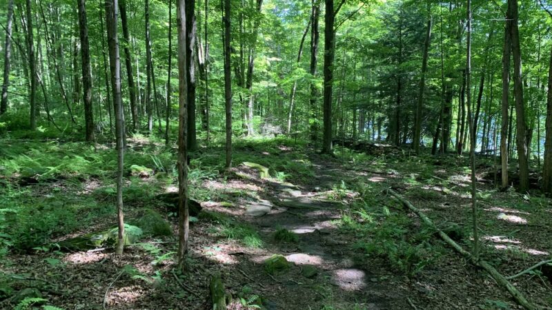 Prompton State Park - Prompton, PA