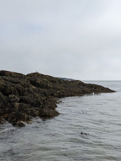 Sand Cove Beach - Prospect Harbor, ME