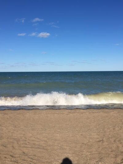 Country Gardens Park - Prospect Heights, IL