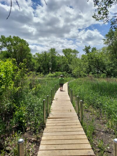 Izaak Walton Park - Prospect Heights, IL