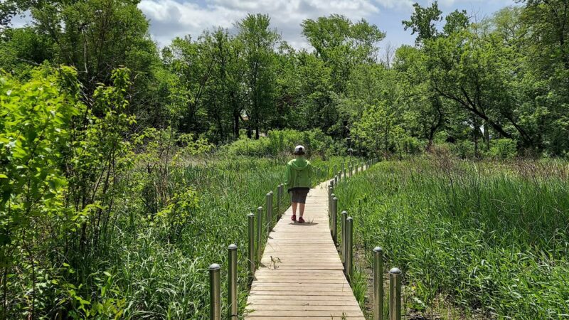 Izaak Walton Park - Prospect Heights, IL