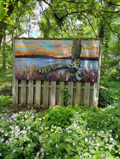 Izaak Walton Park - Prospect Heights, IL