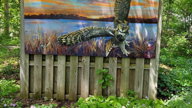 Izaak Walton Park - Prospect Heights, IL