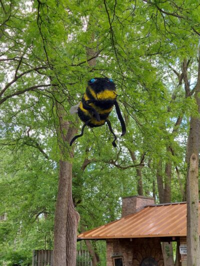 Izaak Walton Park - Prospect Heights, IL