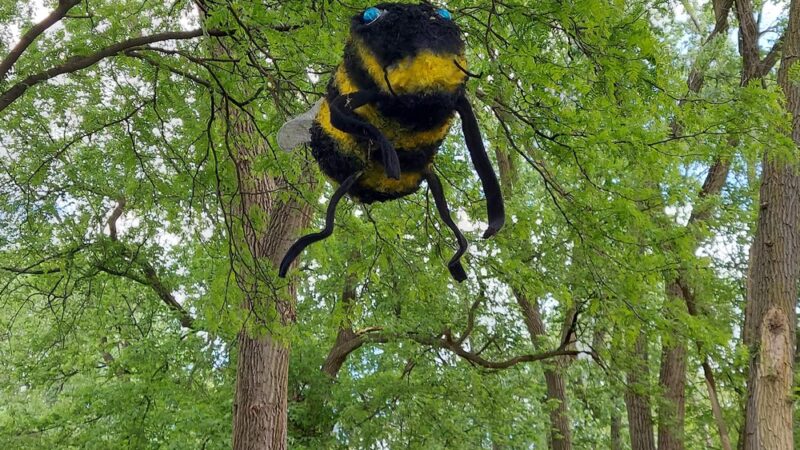 Izaak Walton Park - Prospect Heights, IL