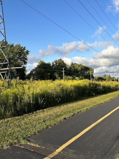 Prairie - Prospect Heights, IL