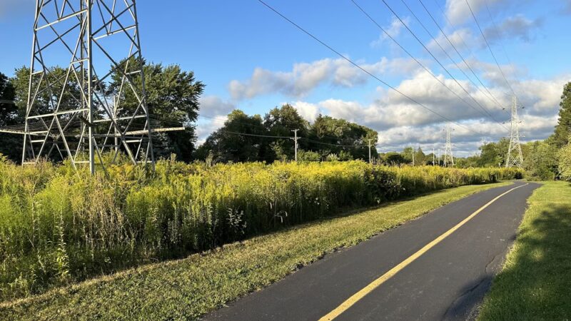 Prairie - Prospect Heights, IL