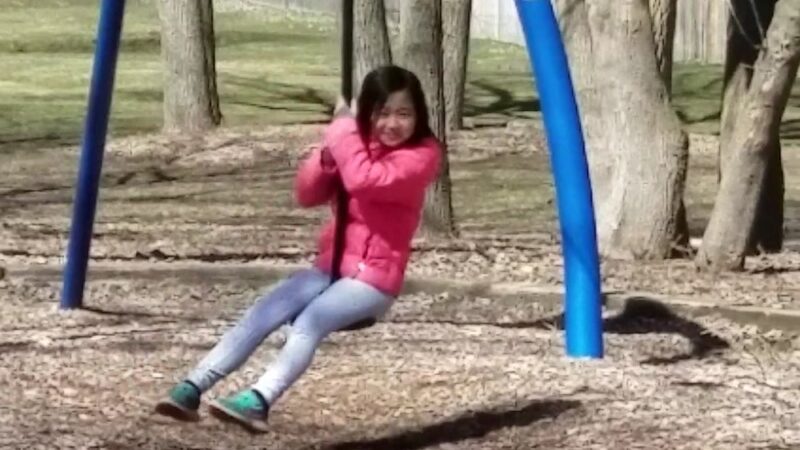 School Street Park - Prospect Heights, IL