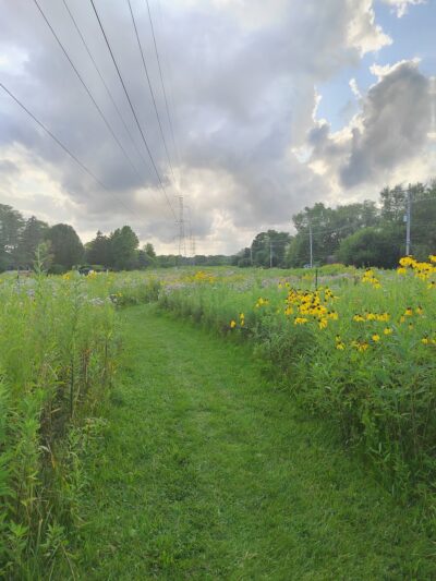 Somerset Park - Prospect Heights, IL