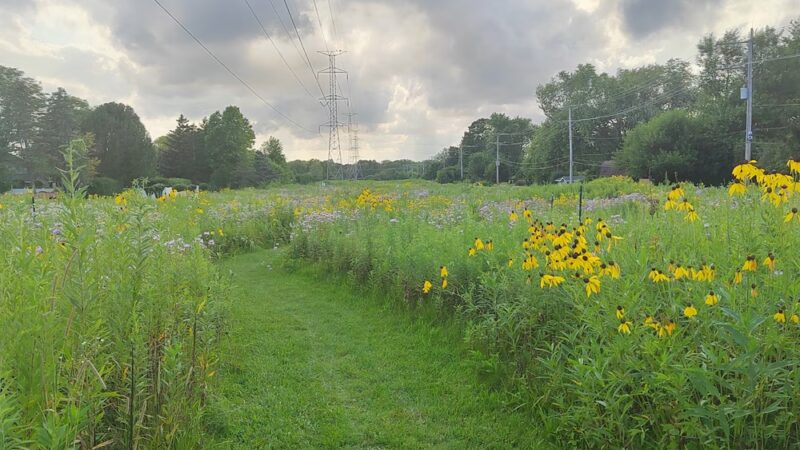 Somerset Park - Prospect Heights, IL