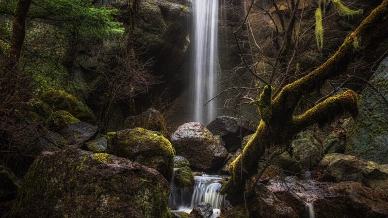 Blue Grotto Trailhead - Prospect, OR