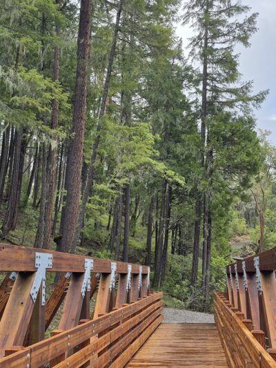 Blue Grotto Trailhead - Prospect, OR