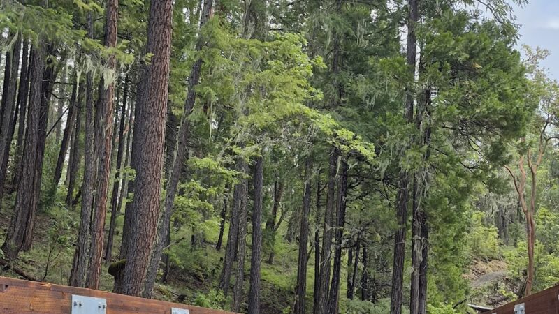 Blue Grotto Trailhead - Prospect, OR