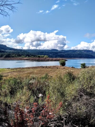 Lewis Road Trailhead - Prospect, OR