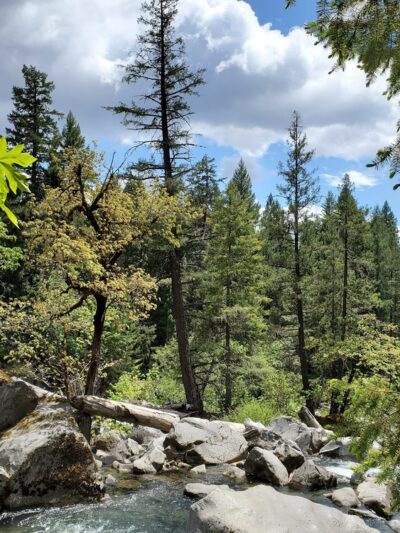 Mill and Barr Creek Falls Trailhead - Prospect, OR