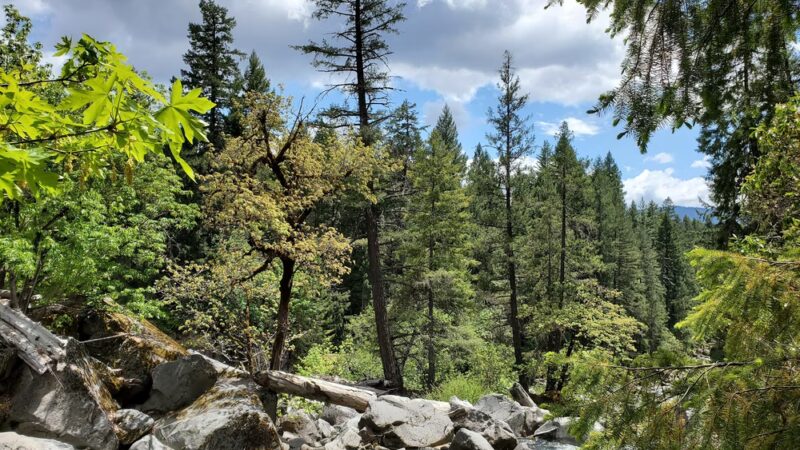 Mill and Barr Creek Falls Trailhead - Prospect, OR