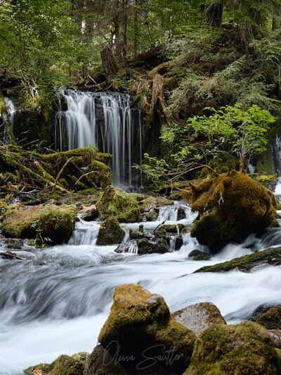 Pearsony Falls - Prospect, OR