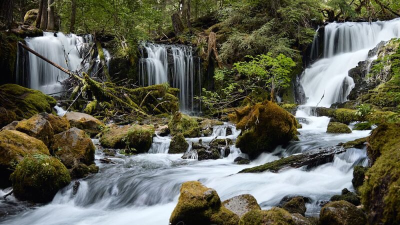 Pearsony Falls - Prospect, OR