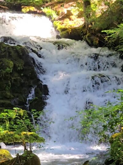 Pearsony Falls - Prospect, OR