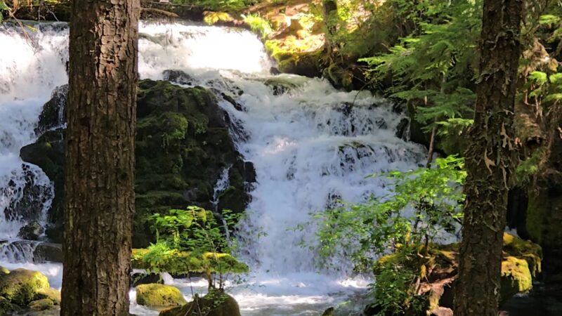 Pearsony Falls - Prospect, OR