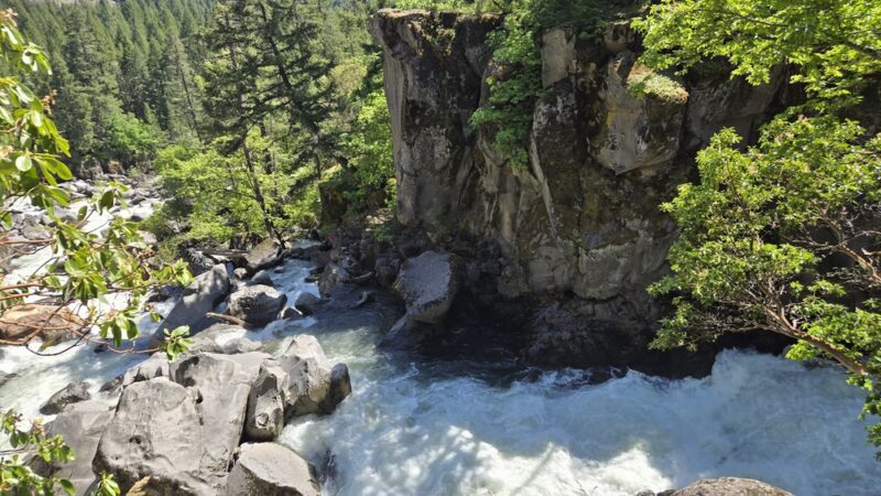 Pearsony Falls - Prospect, OR