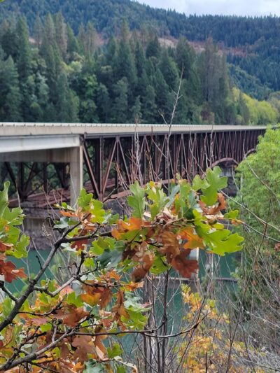 Peyton Bridge - Prospect, OR