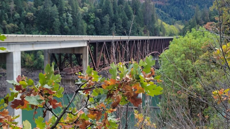 Peyton Bridge - Prospect, OR