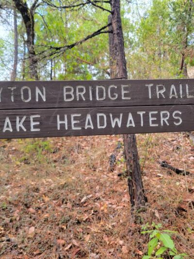 Peyton Bridge - Prospect, OR