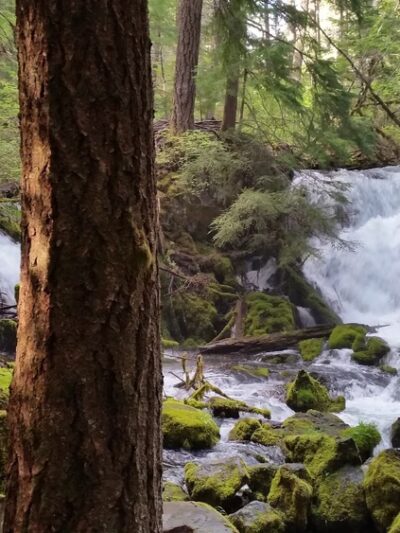Prospect - Prospect, OR