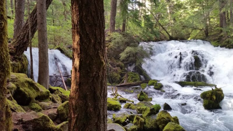Prospect - Prospect, OR